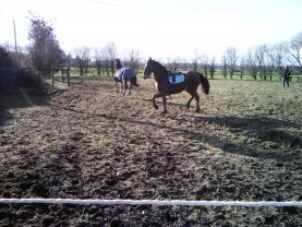 Location : jardin potager Location : jardin potager